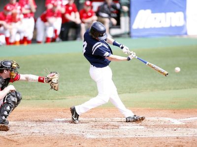 Own A Professional Baseball Team For Just $50